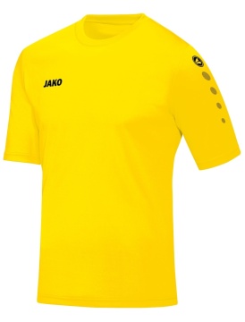 JAKO  Trikot Team Herren/Kinder