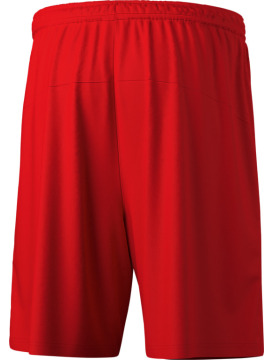 ERIMA TEAM Shorts