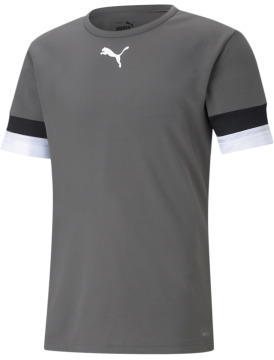 Puma teamRISE Jersey